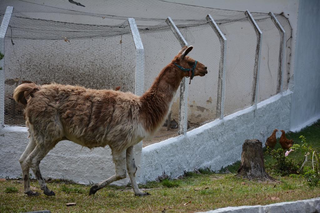 Quilombo Hotel Fazenda União dos Palmares エクステリア 写真