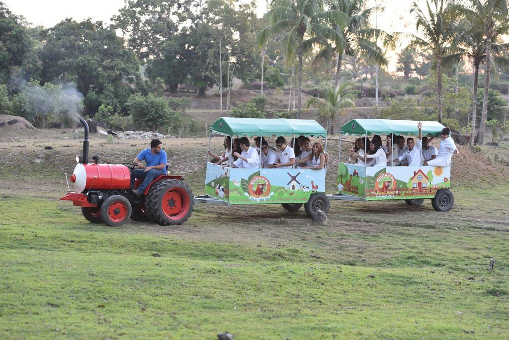 Quilombo Hotel Fazenda União dos Palmares エクステリア 写真